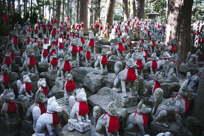 Reikozuka, o bosque sagrado das raposas espirituais no Toyokawa Inari, em Aichi 