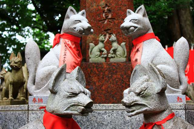 Reikozuka, o bosque sagrado das raposas espirituais no Toyokawa Inari, em Aich