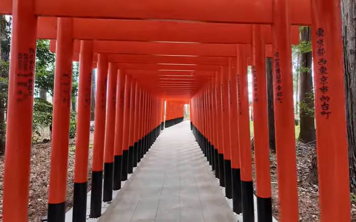 Reikozuka, o bosque sagrado das raposas espirituais no Toyokawa Inari, em Aich