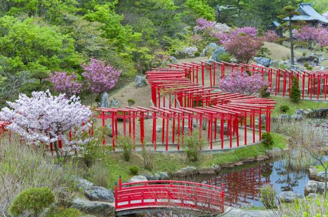Santuário Takayama Inari, Aomori na primavera