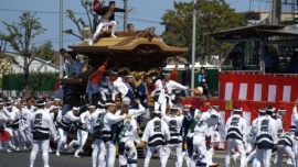 Kishiwada Danjiri Matsuri