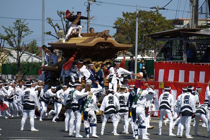 Kishiwada Danjiri Matsuri