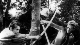 Efeito Rashomon: por que duas pessoas podem presenciar o mesmo fato e contar histórias diferentes?