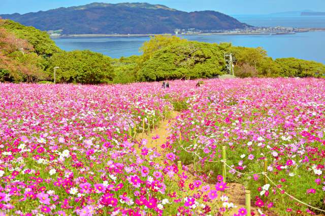 Nokonoshima Island Park — Fukuoka